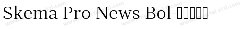 Skema Pro News Bol字体转换